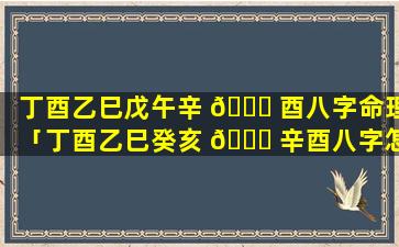 丁酉乙巳戊午辛 🐋 酉八字命理「丁酉乙巳癸亥 🐒 辛酉八字怎么样」